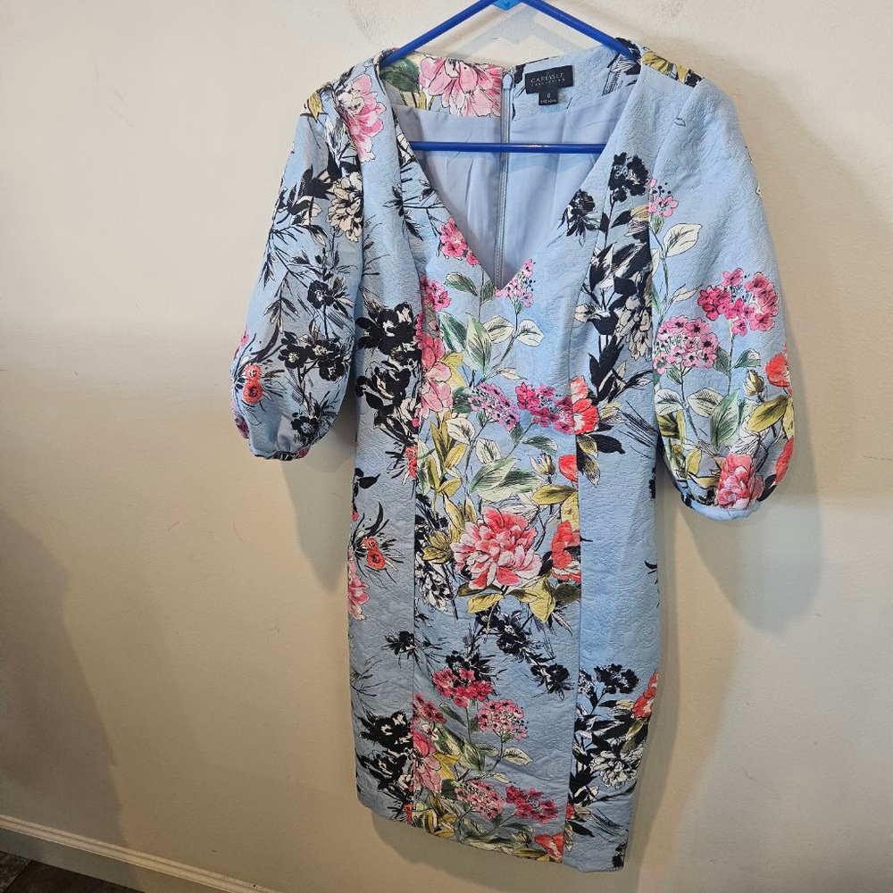 Women's Carlisle Collection Blue Floral V-Neck Dress Size 0